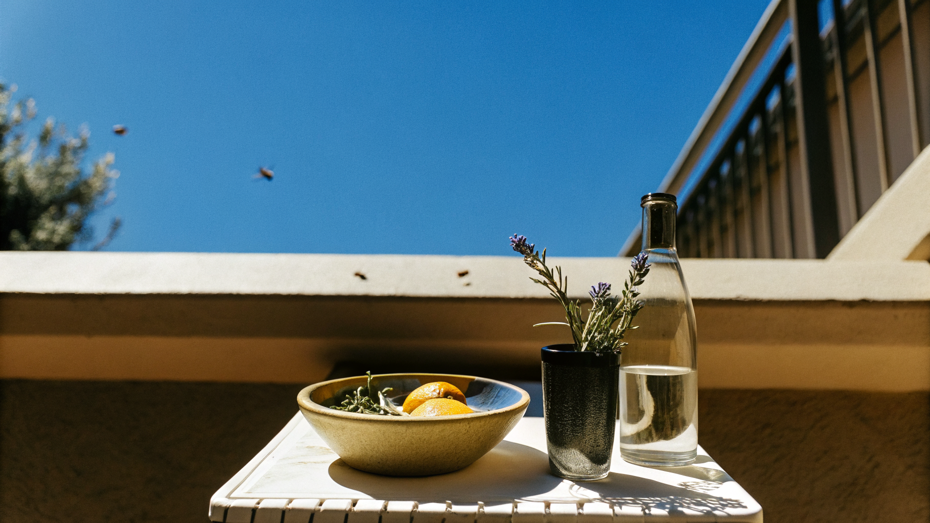 Répulsifs naturels contre les guêpes — vinaigre blanc, lavande et huile essentielle disposés sur une terrasse française
