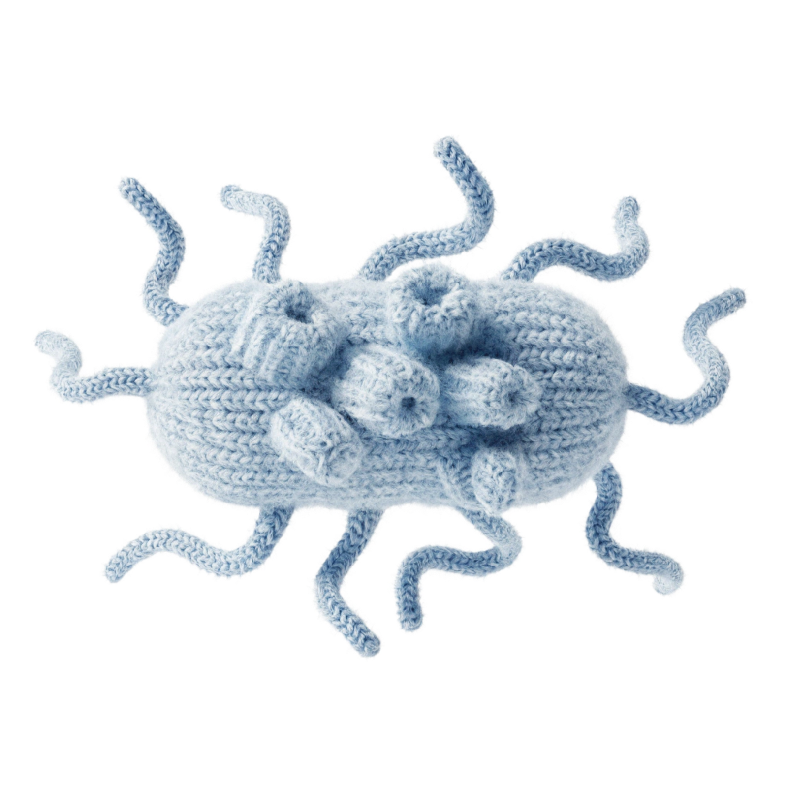 Chenille processionnaire