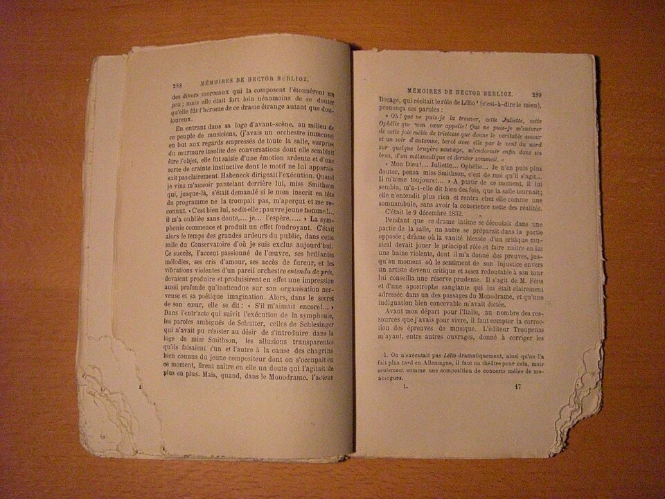 Carton grignoté par une souris